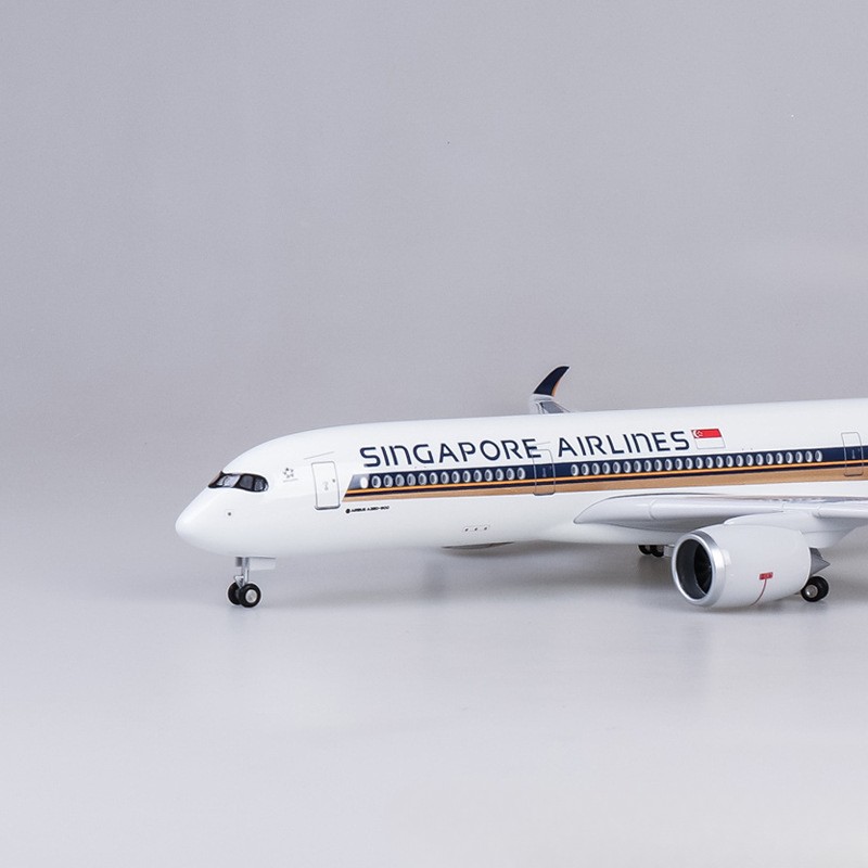 Масштабная модель самолета Sin – обзор и цена Model Kit Singapore
