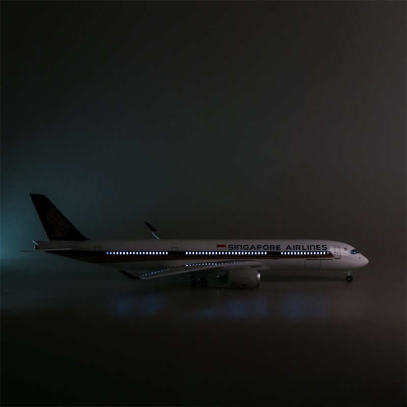 Масштабная модель самолета Sin – обзор и цена Model Kit Singapore
