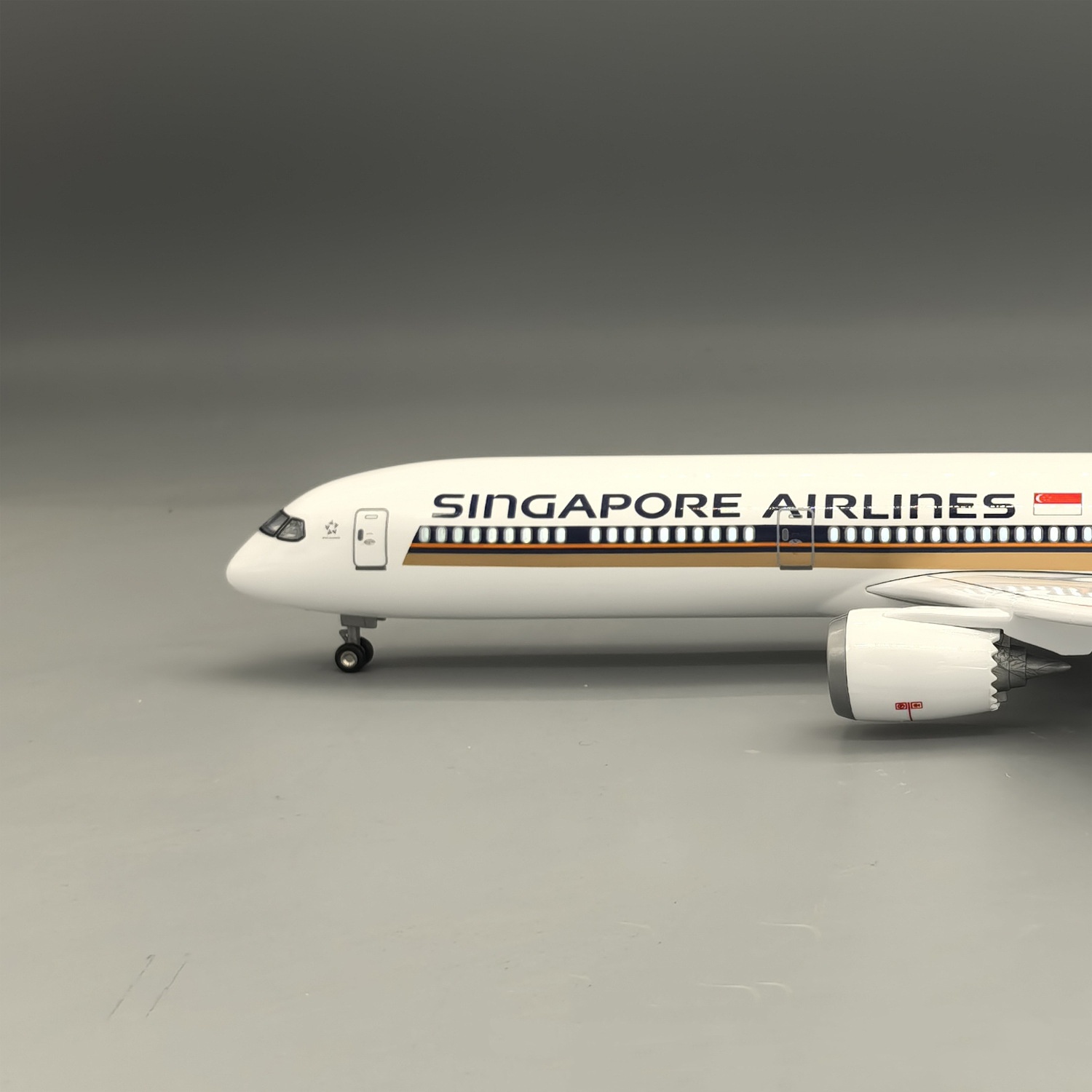Масштабная модель самолета Sin – обзор и цена Model Kit Singapore