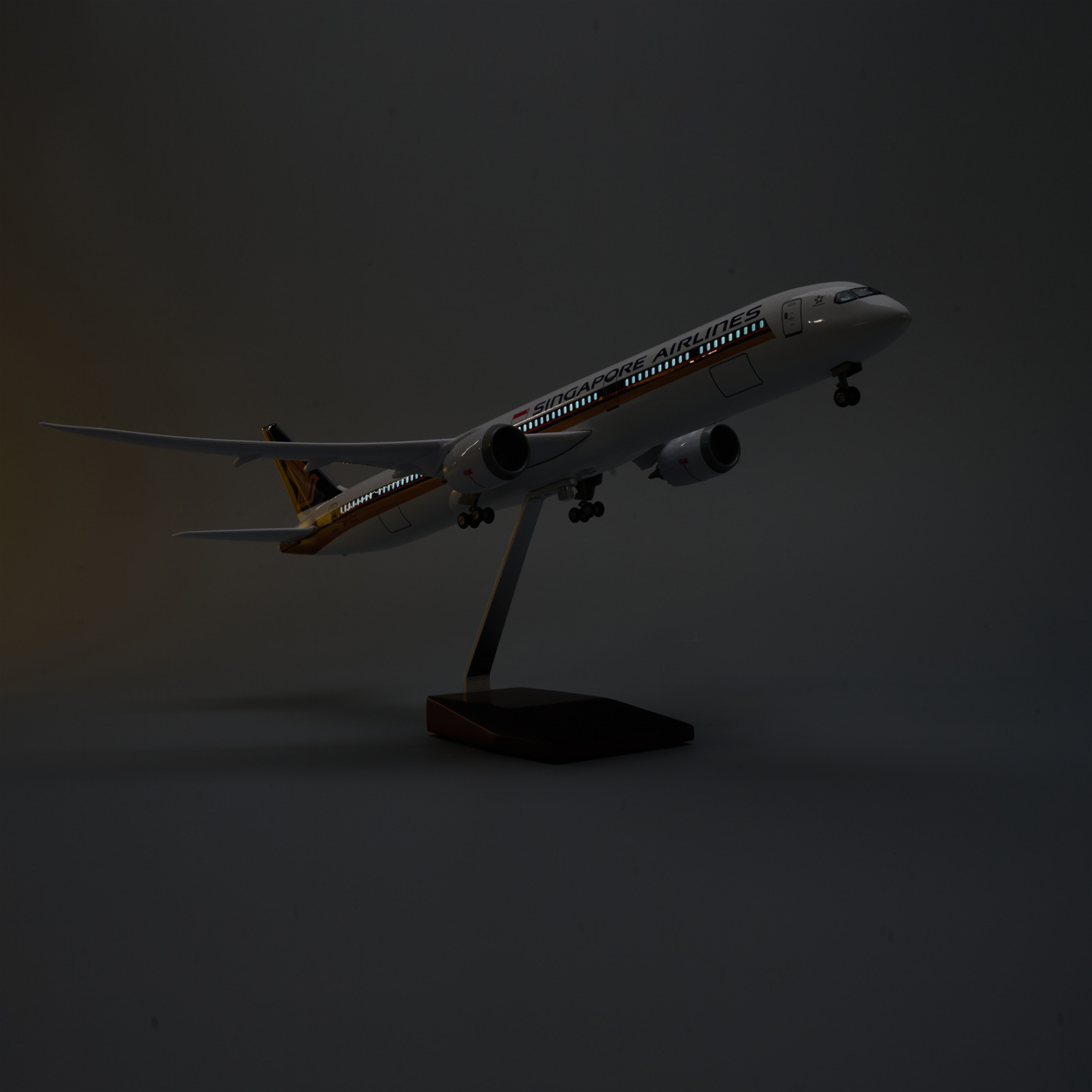 Модель самолета Boeing 787-10  – обзор и цена Model Kit Singapore